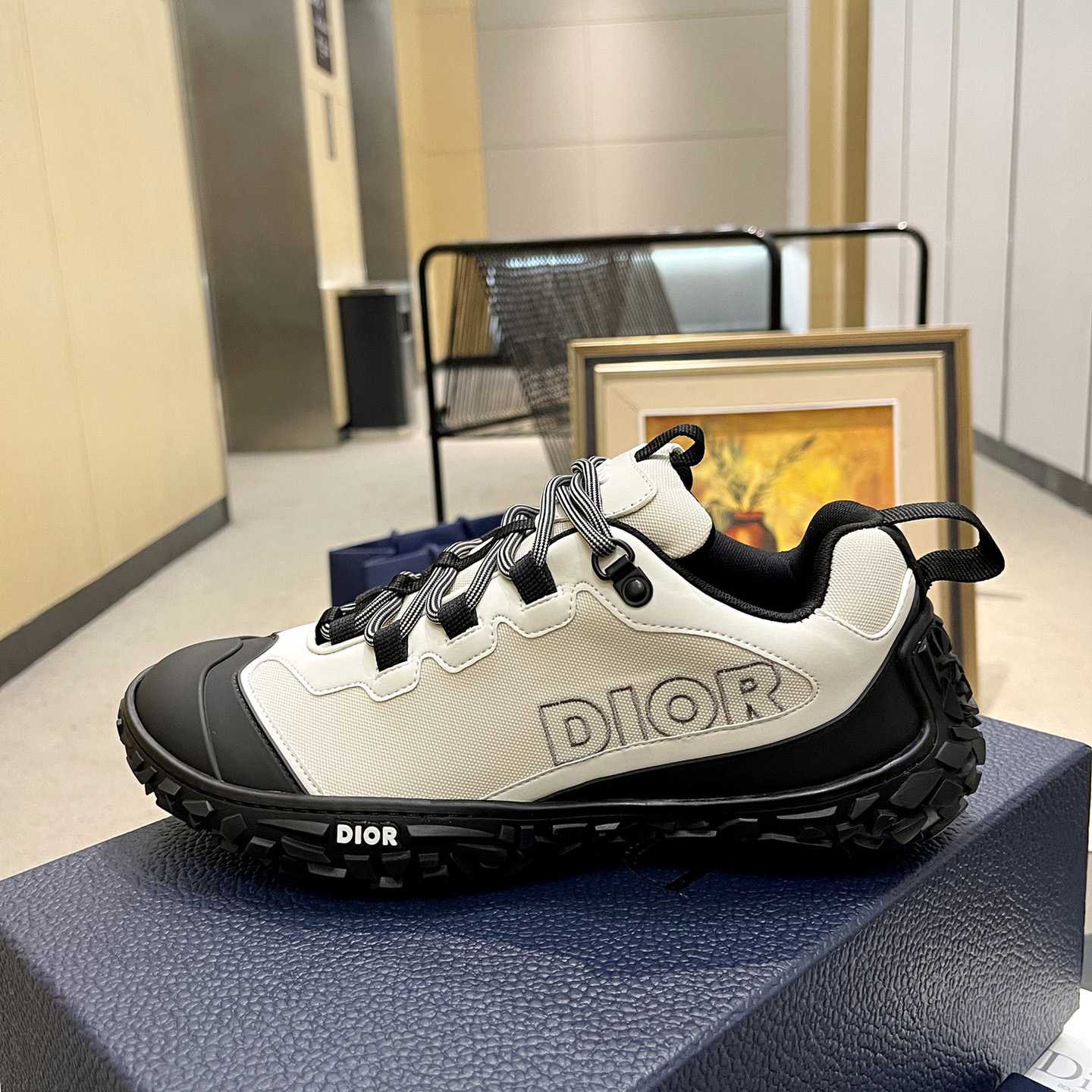 Dior Diorizon Hiking Shoe - EUR FASHION