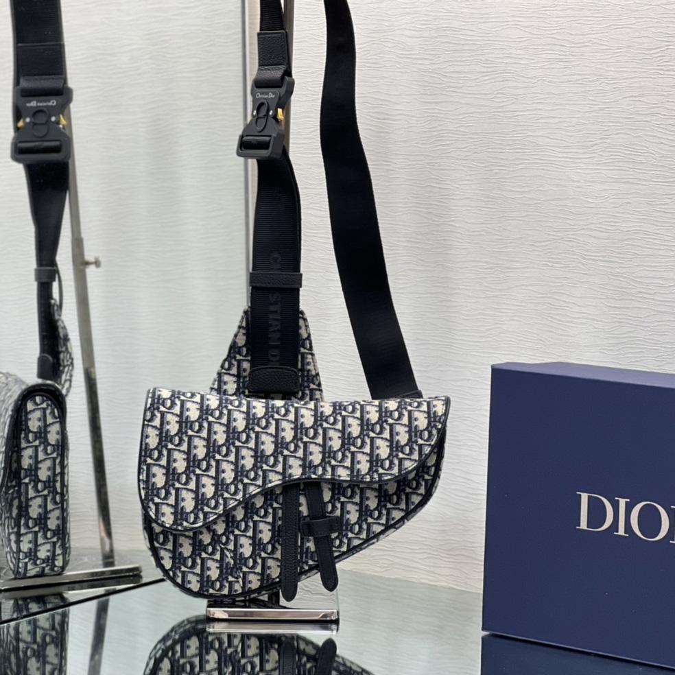 Dior Saddle Bag - EUR FASHION