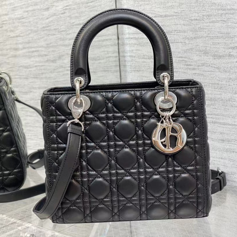 Dior Medium Lady Dior Bag - EUR FASHION