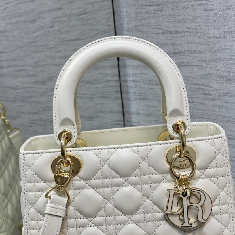 Dior Medium Lady Dior Bag - EUR FASHION