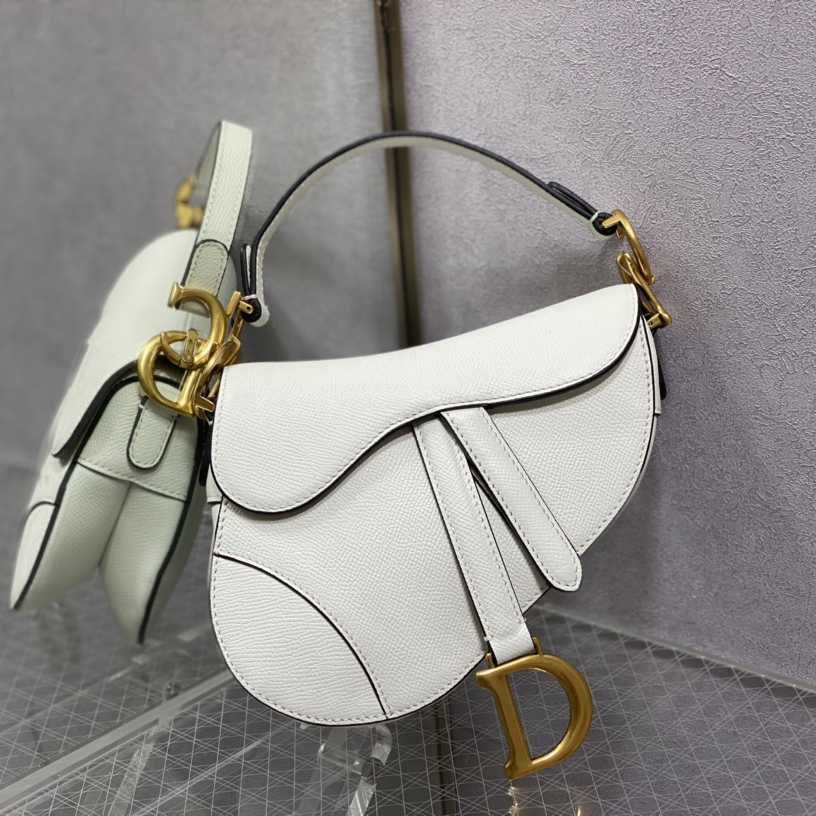 Dior Saddle Bag    19.5cm - EUR FASHION