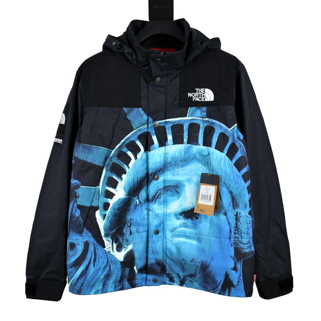 Supreme x The North Face "Statue Of Liberty" Mountain Jacket - EUR FASHION