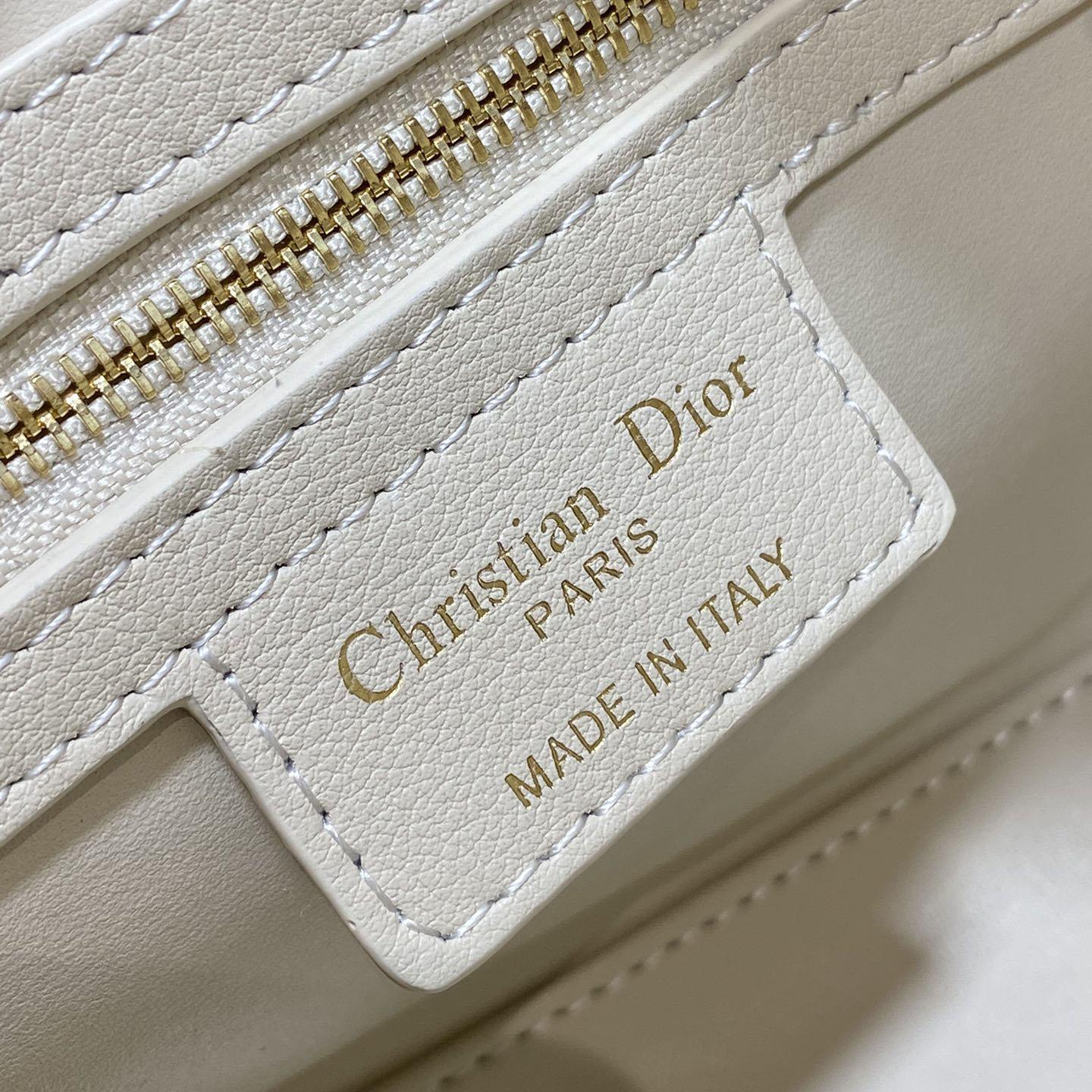 Dior Groove 20 Bag  - EUR FASHION