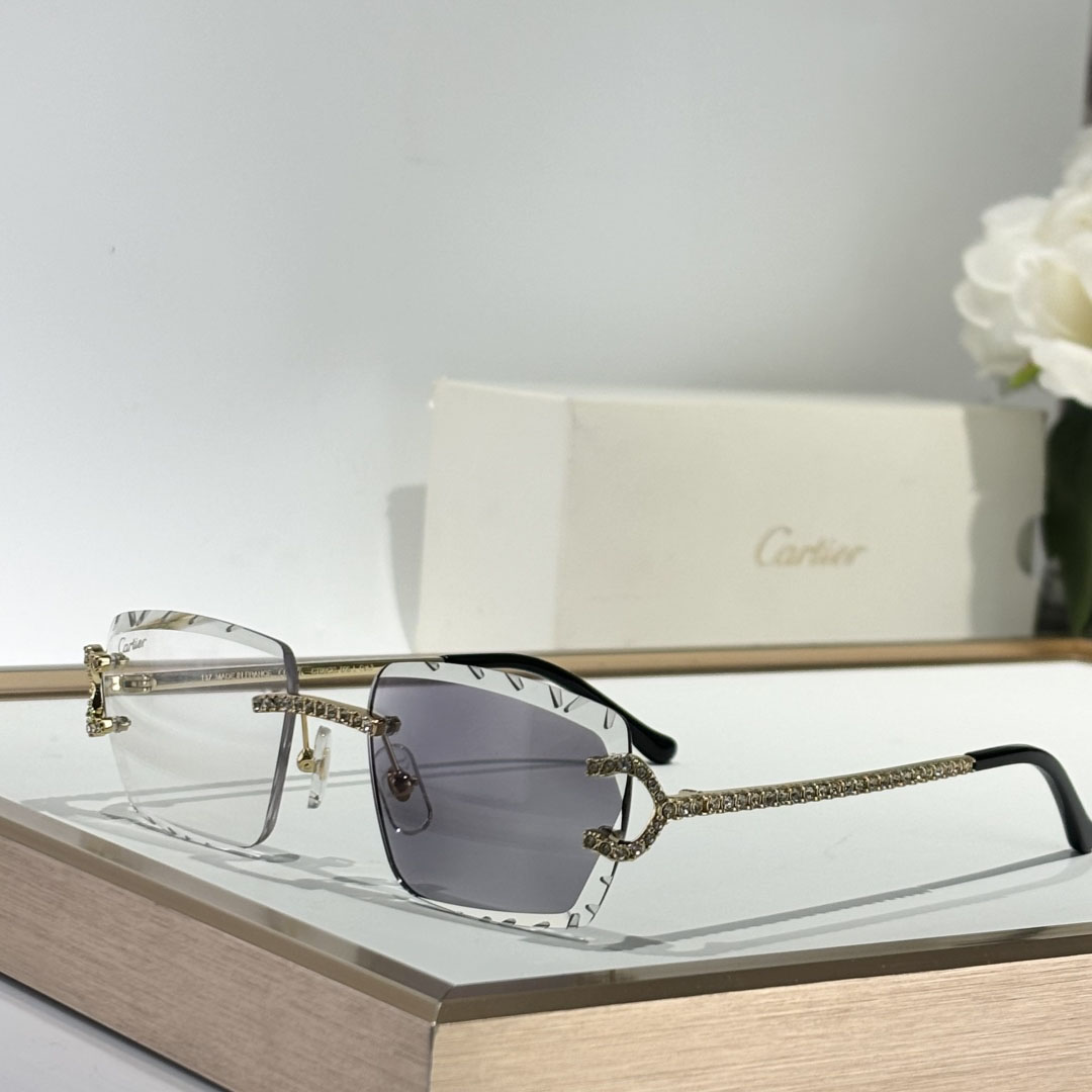 Cartier CT0662S Sunglasses    - EUR FASHION