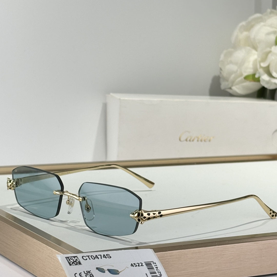 Cartier CT0474S Sunglasses    - EUR FASHION