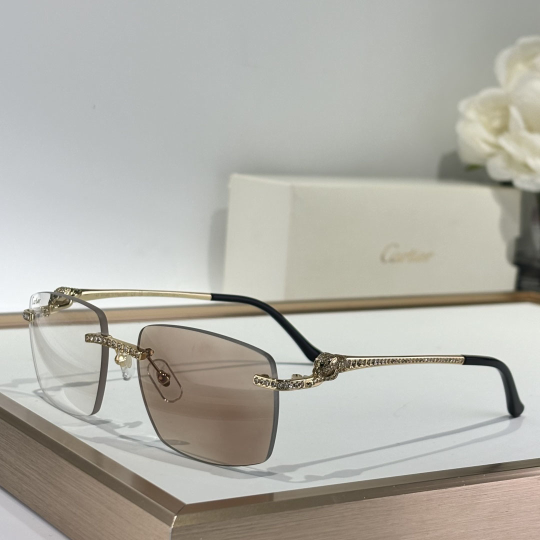 Cartier CT0663 Sunglasses    - EUR FASHION